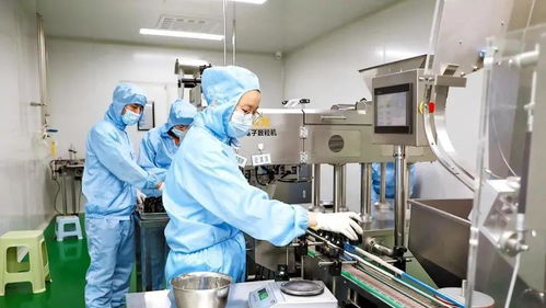 渭南市51项新产品入选省重点，科技创新与产业升级再添新动力